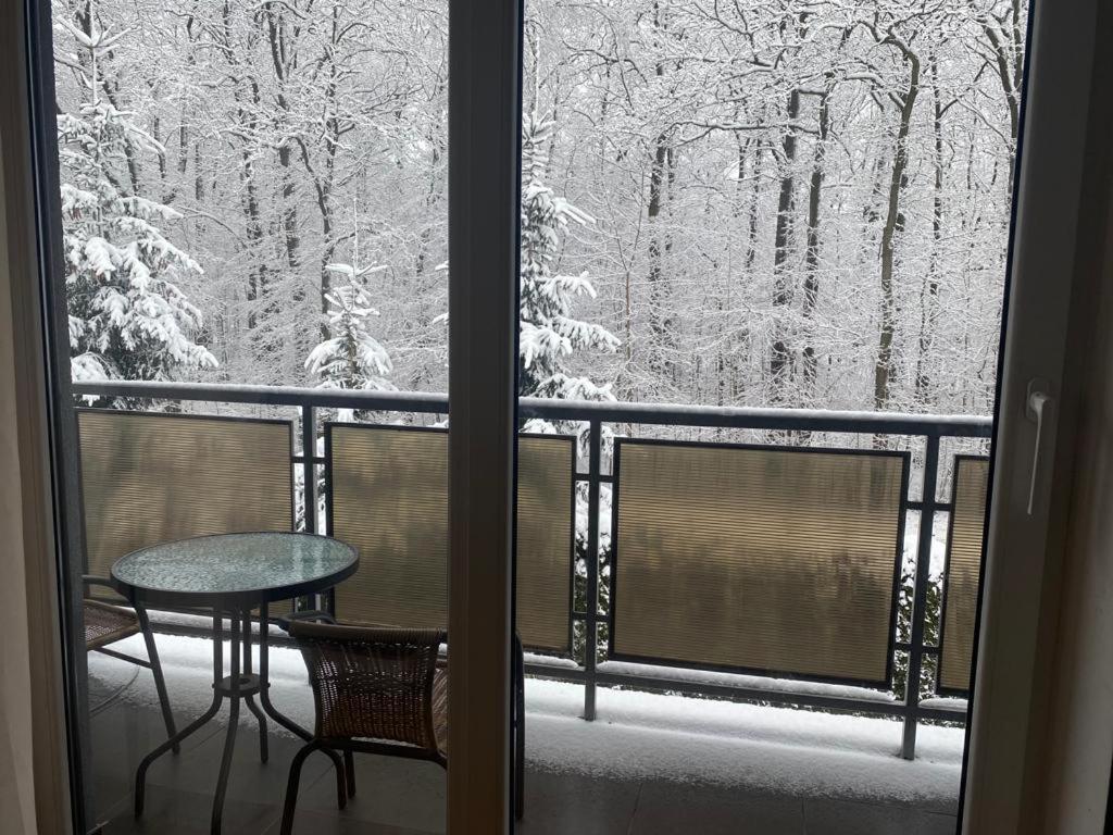 Apartament Natalia Żywiec エクステリア 写真